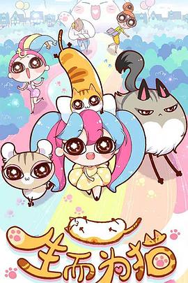 长春企业网站制作优化